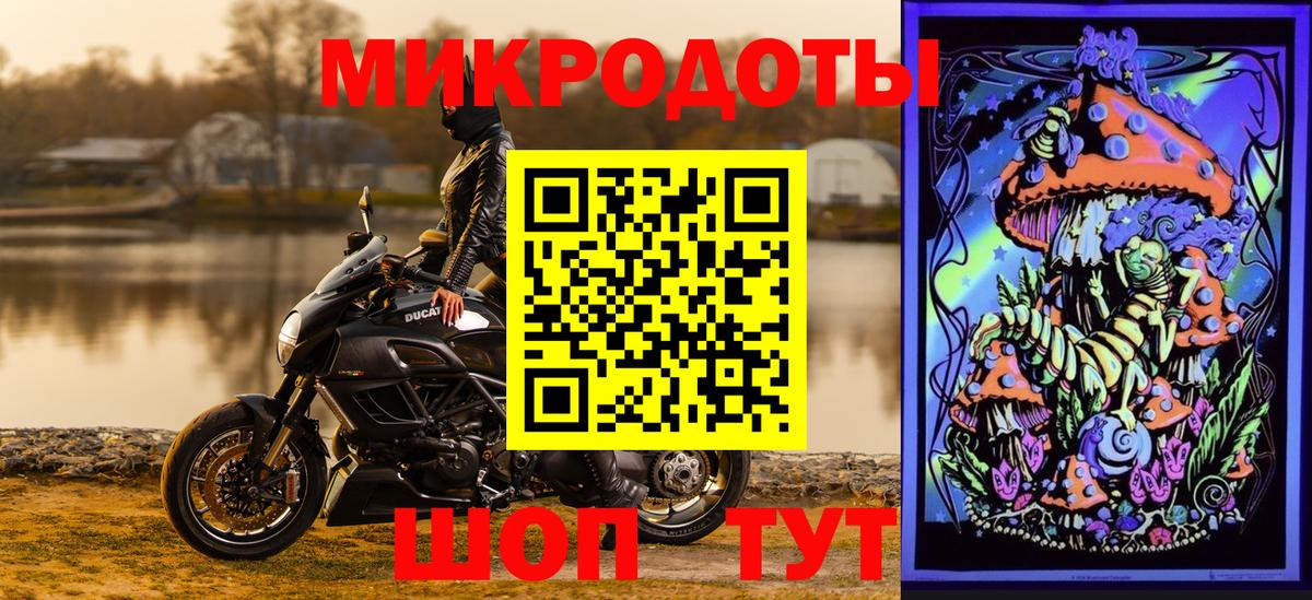 Ирбит  Псилоцибиновые грибы Psilocybine cubensis  Вход с VPN 